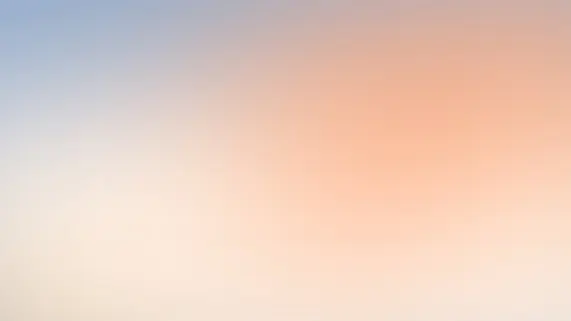 Betitall Casino Suporte